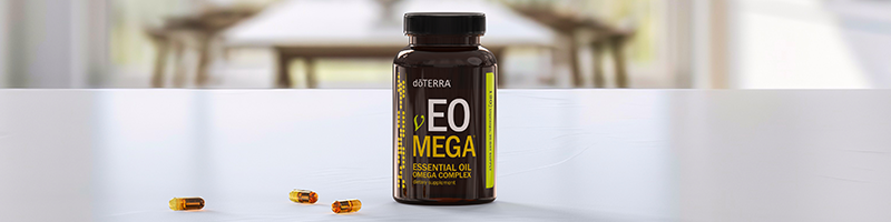 vEO Mega_Desktop.png