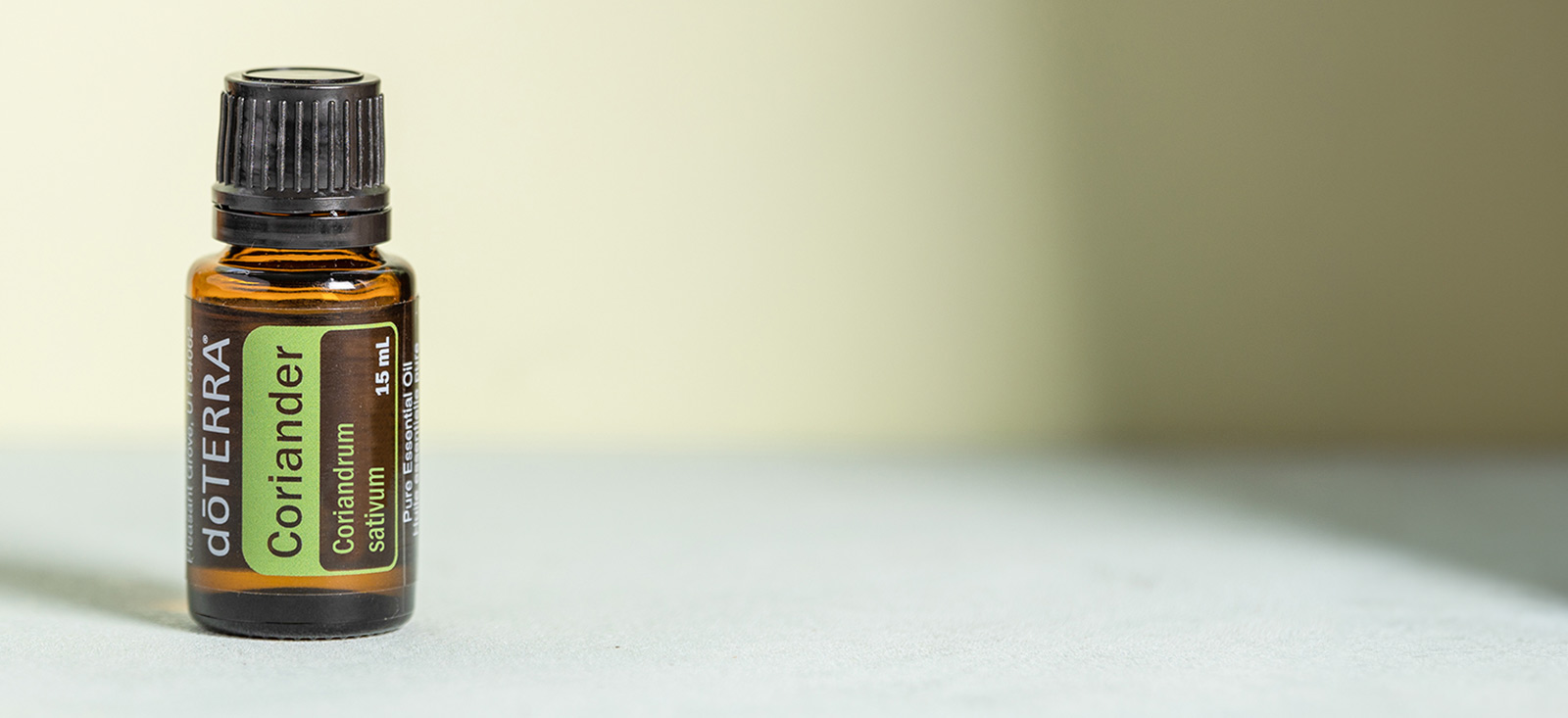 Coriander header image