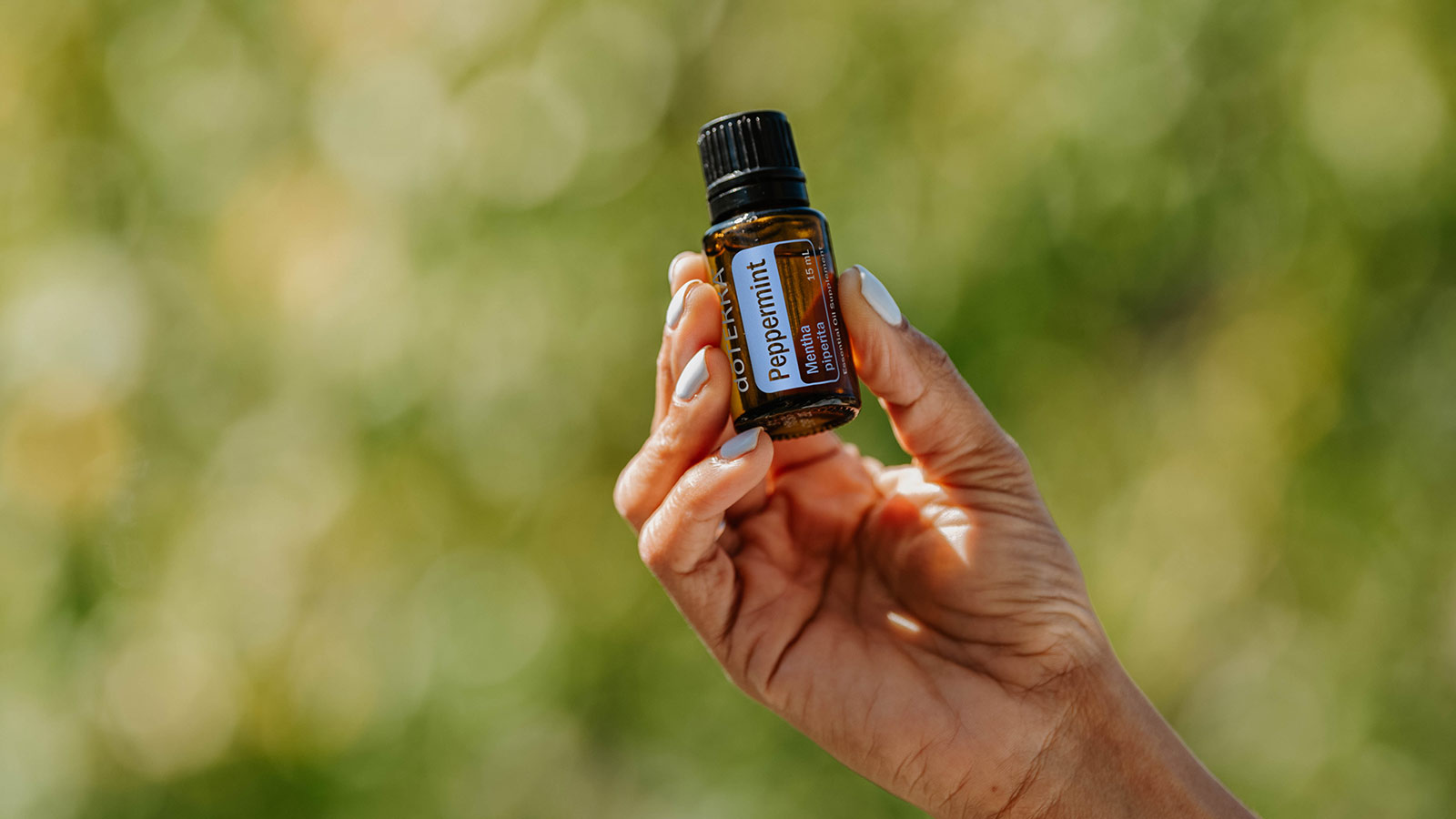 Someone with blue painted fingernails, holding up a bottle of doTERRA Peppermint essential oil against a green faded background. 