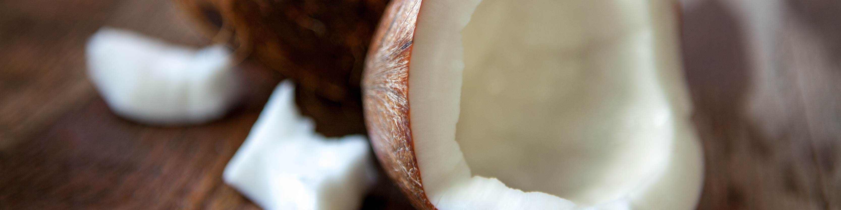 Ingredients_Desktop_Coconut copy.jpg