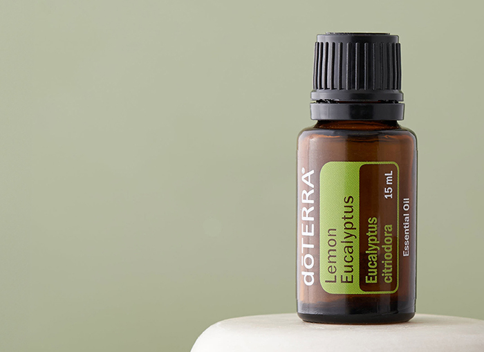 Lemon Eucalyptus Oil Image