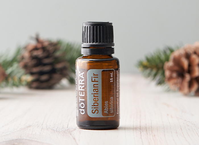 siberian fir uses image