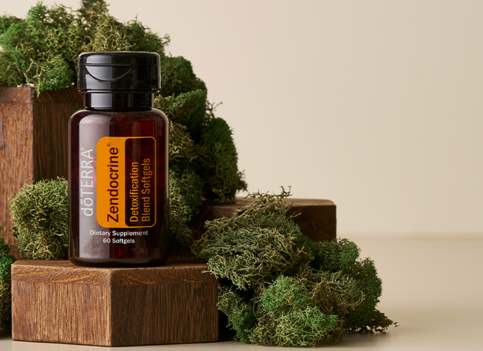 Zendocrine Softgels header image