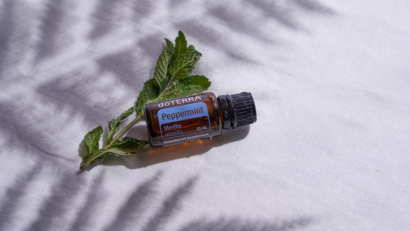 doTERRA’s Peppermint essential oil bottle laying on a white background in the shadow of a large leaf. Green leaf lying beside oil bottle. 