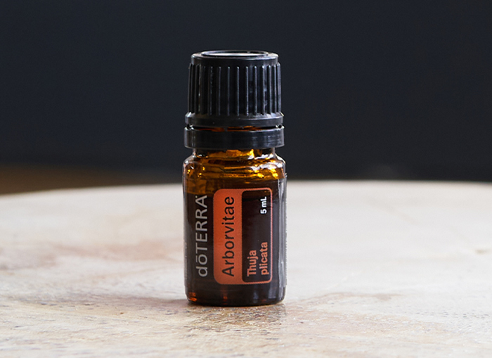 Arborvitae Oil Uses