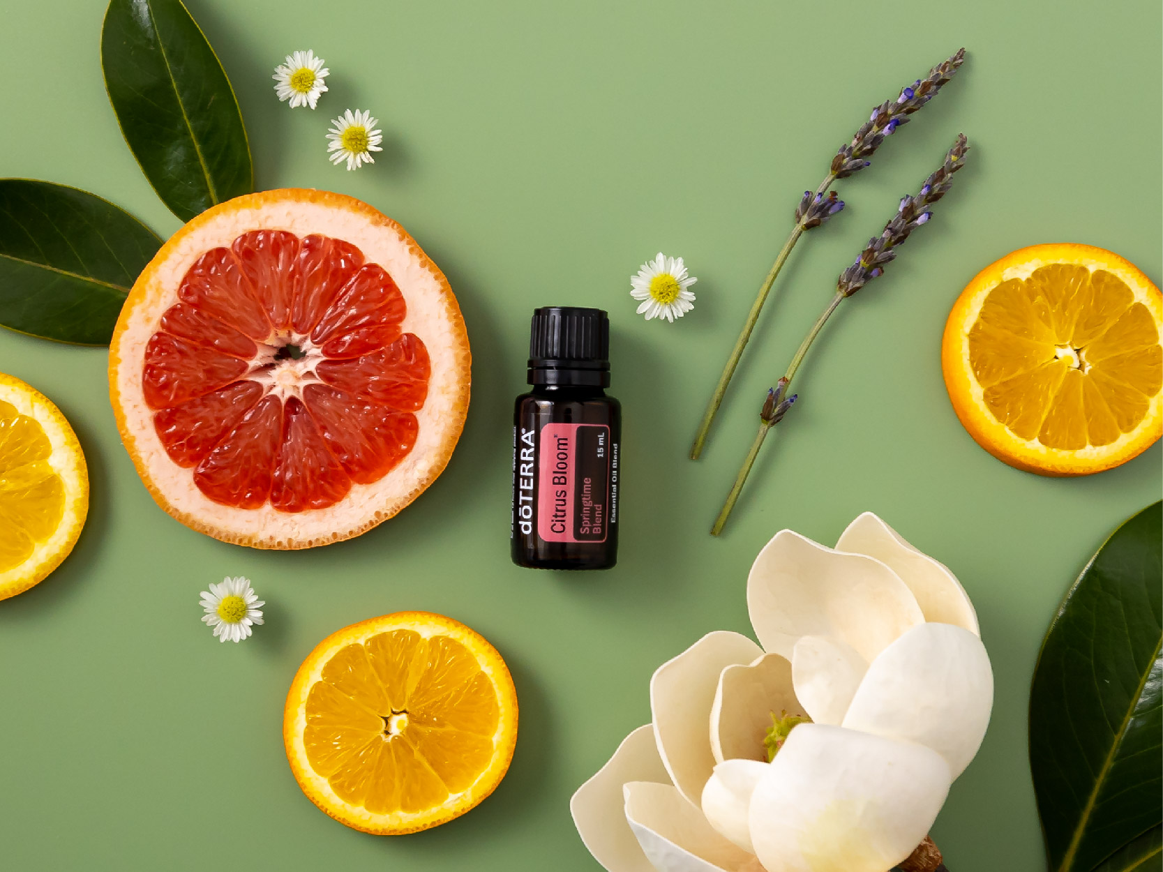 doTERRA Citrus Bloom Oil Image