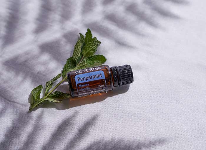 doTERRA’s Peppermint essential oil bottle laying on a white background in the shadow of a large leaf. Green leaf lying beside oil bottle. 