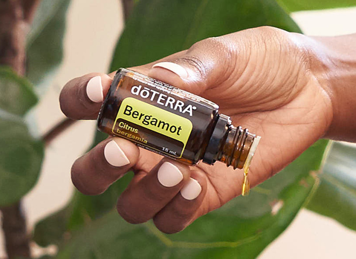 Bergamot Oil Image