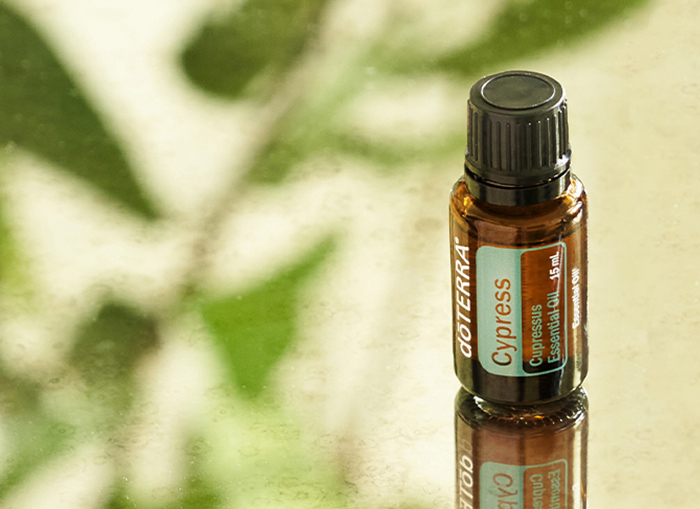 cypress header image