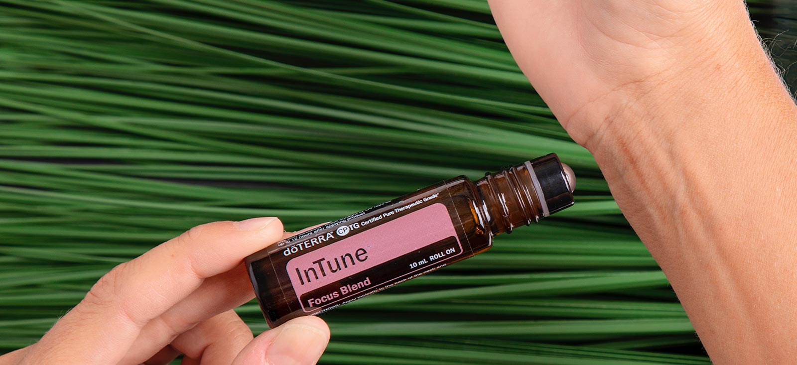 in tune header image