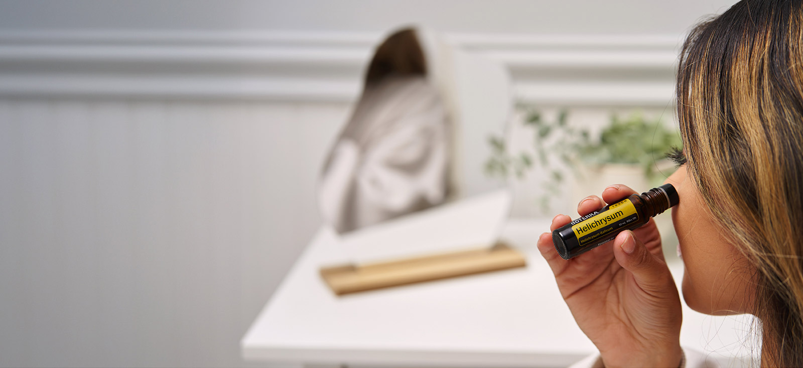 Helichrysum Touch Image