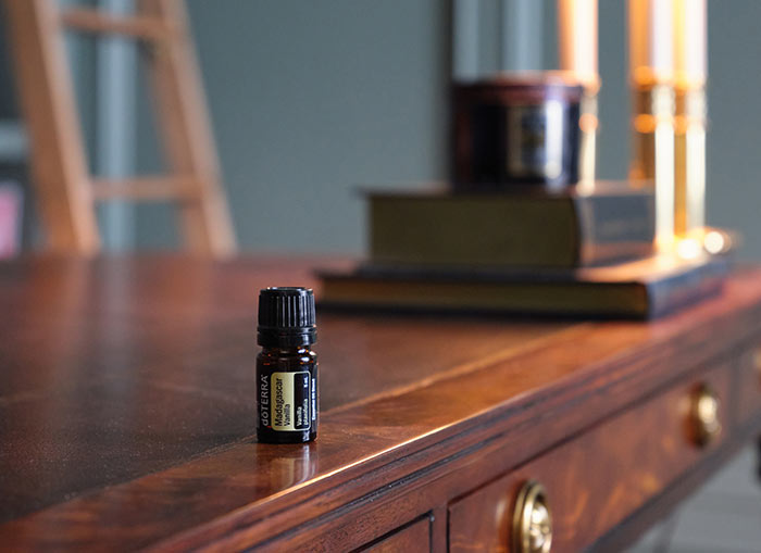 Madagascar Vanilla sitting on wooden desk with a bookshelf ladder in the background and books and a lamp sitting on the desk behind the oil. 