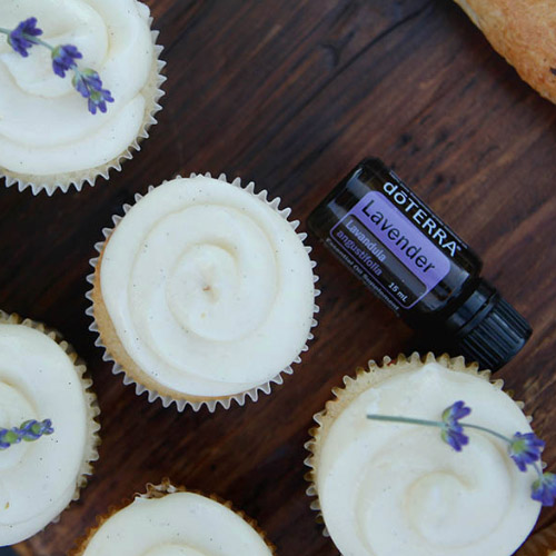 A tray of cupcakes with doTERRA Lavender Essential Oil on a wooden table