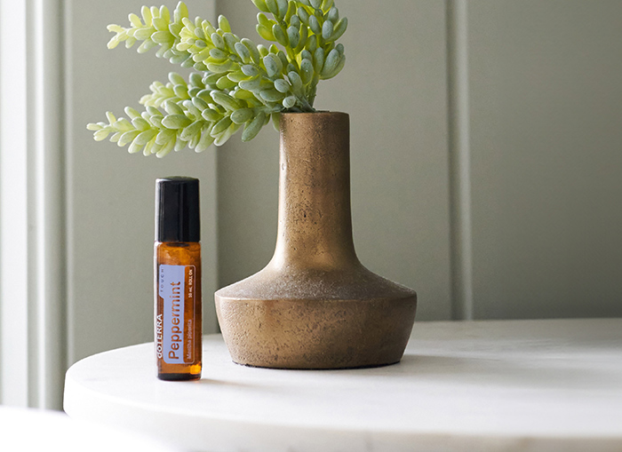 peppermint touch header image