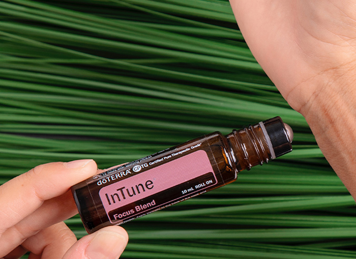 in tune header image