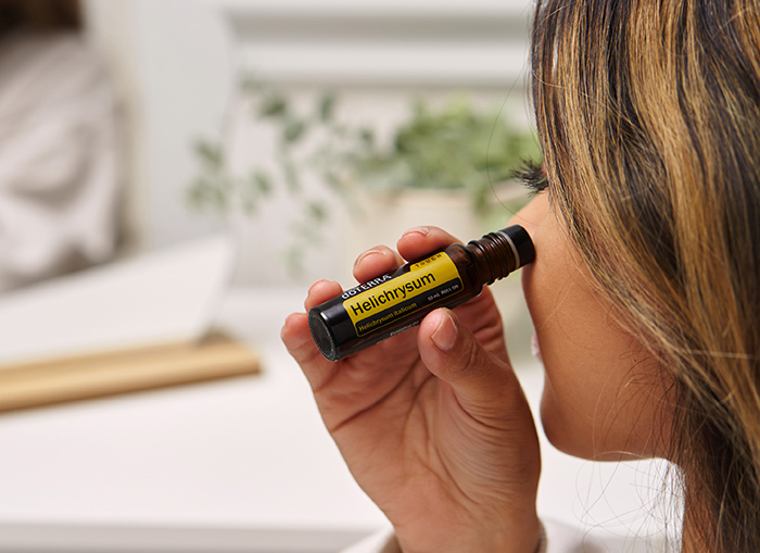 Helichrysum Touch Image