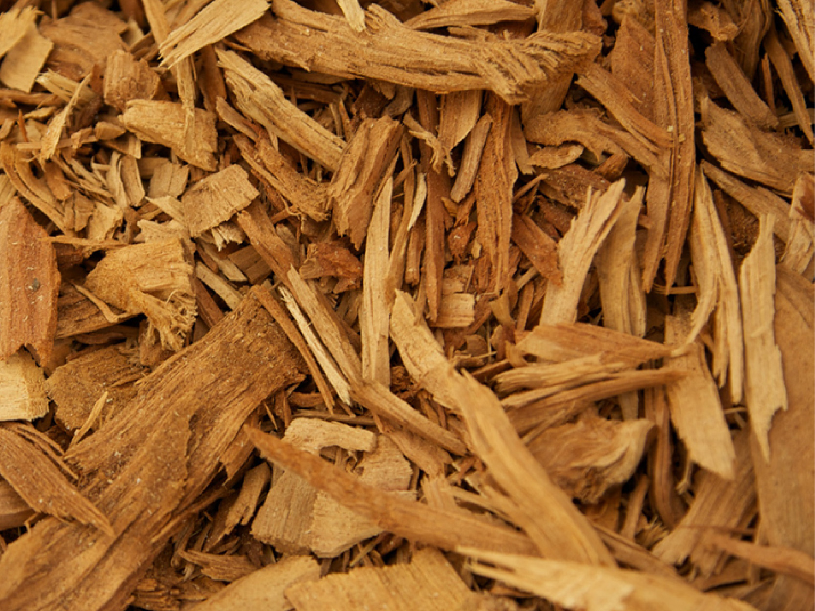 Serenity Stick Product Page images_sandalwood - mobile.jpg