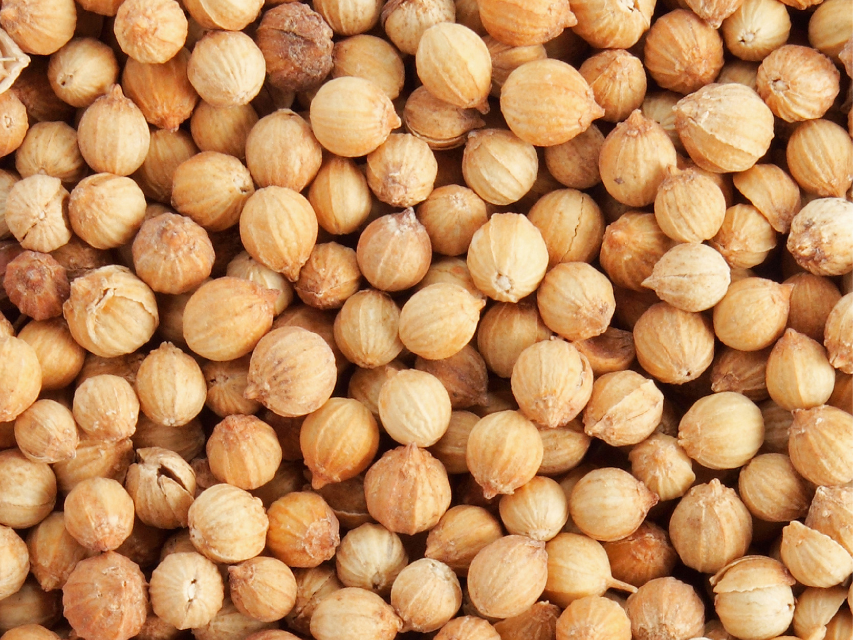 Serenity Stick Product Page images_coriander - mobile.jpg