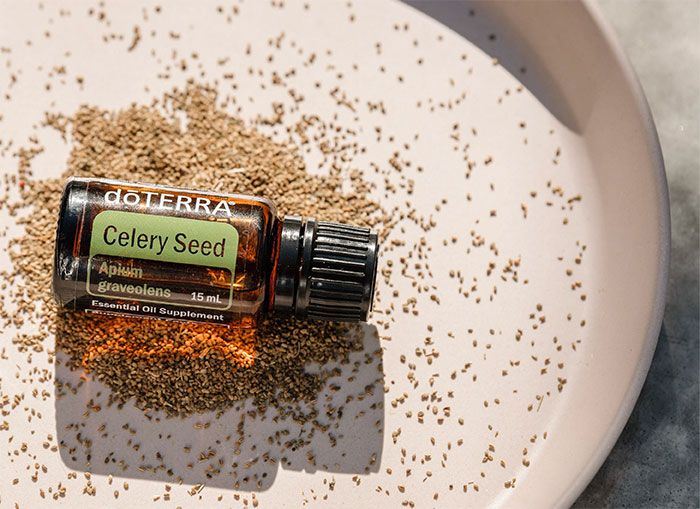 盤子上放着芹菜籽精油，上面有芹菜籽。  heart 1