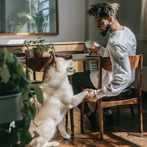 A man sitting at a table with a dog