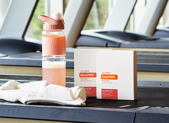 MetaPWR Recharge Image