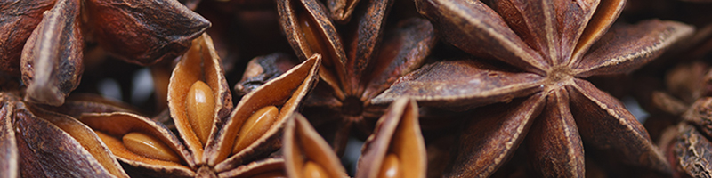 star anise image