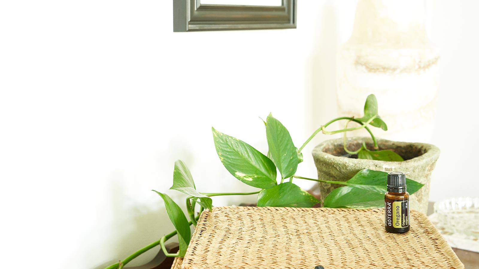 Oregano essential oil placed on a brown woven basket with a green plant in the background. 