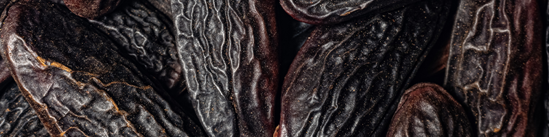 Tonka Bean_Desktop.png