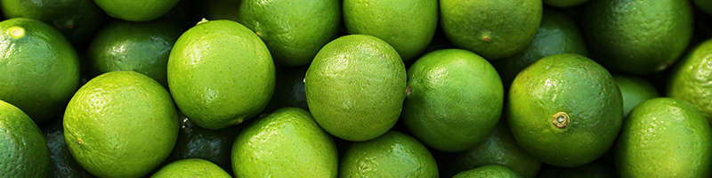 800x200-lime-desktop.jpg