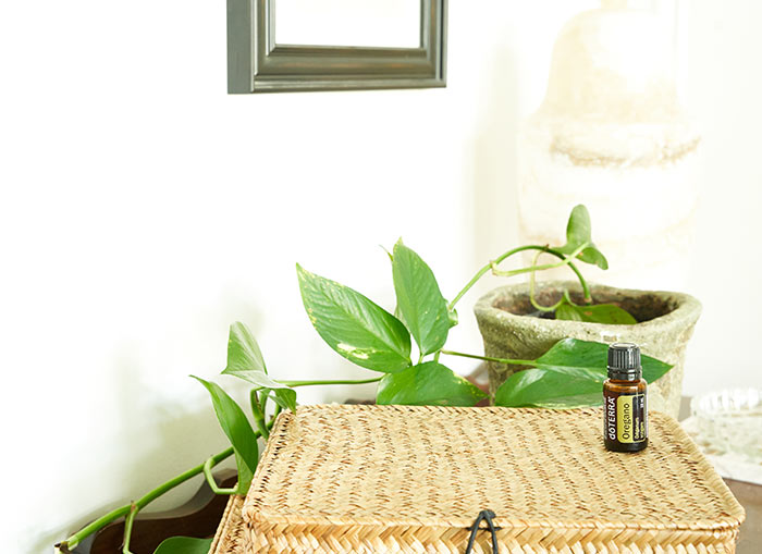 Oregano essential oil placed on a brown woven basket with a green plant in the background. 