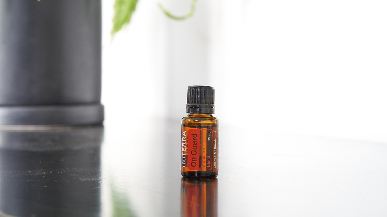 doTERRA On Guard essential oil bottle sitting on a black surface. A green plant in a large, black pot, sitting in the background.  