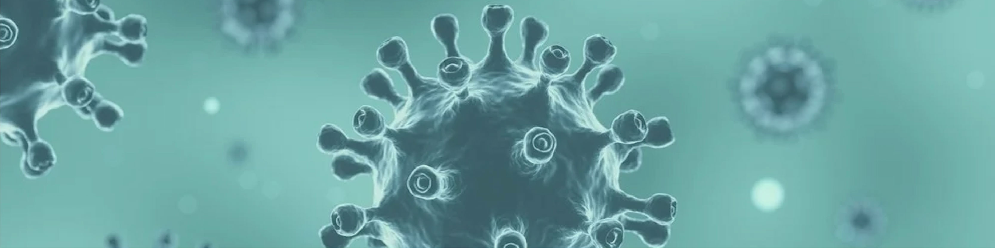 Microplex VMz Vegan Ingredients_Patented Glycoprotein Matrix Desktop.jpg