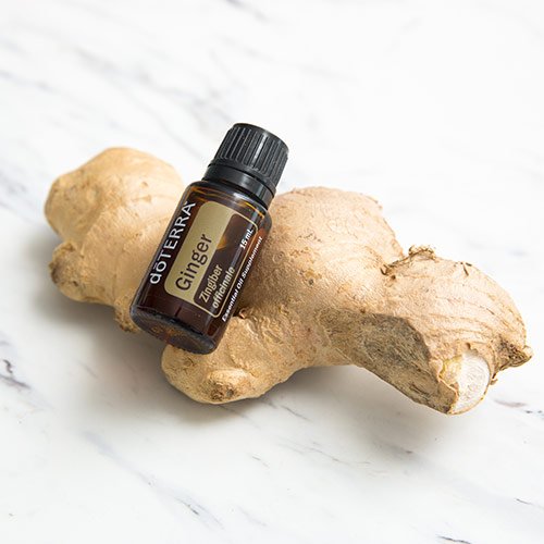 A bottle of ginger essential oil on top of a piece of ginger.
