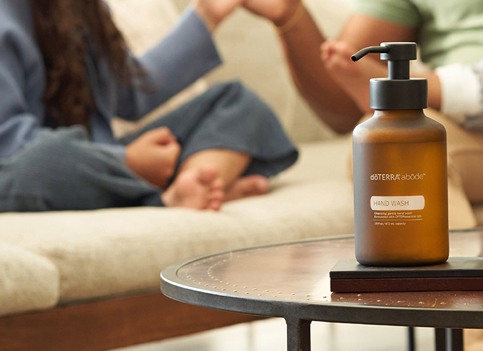 Hand Wash Dispenser Image