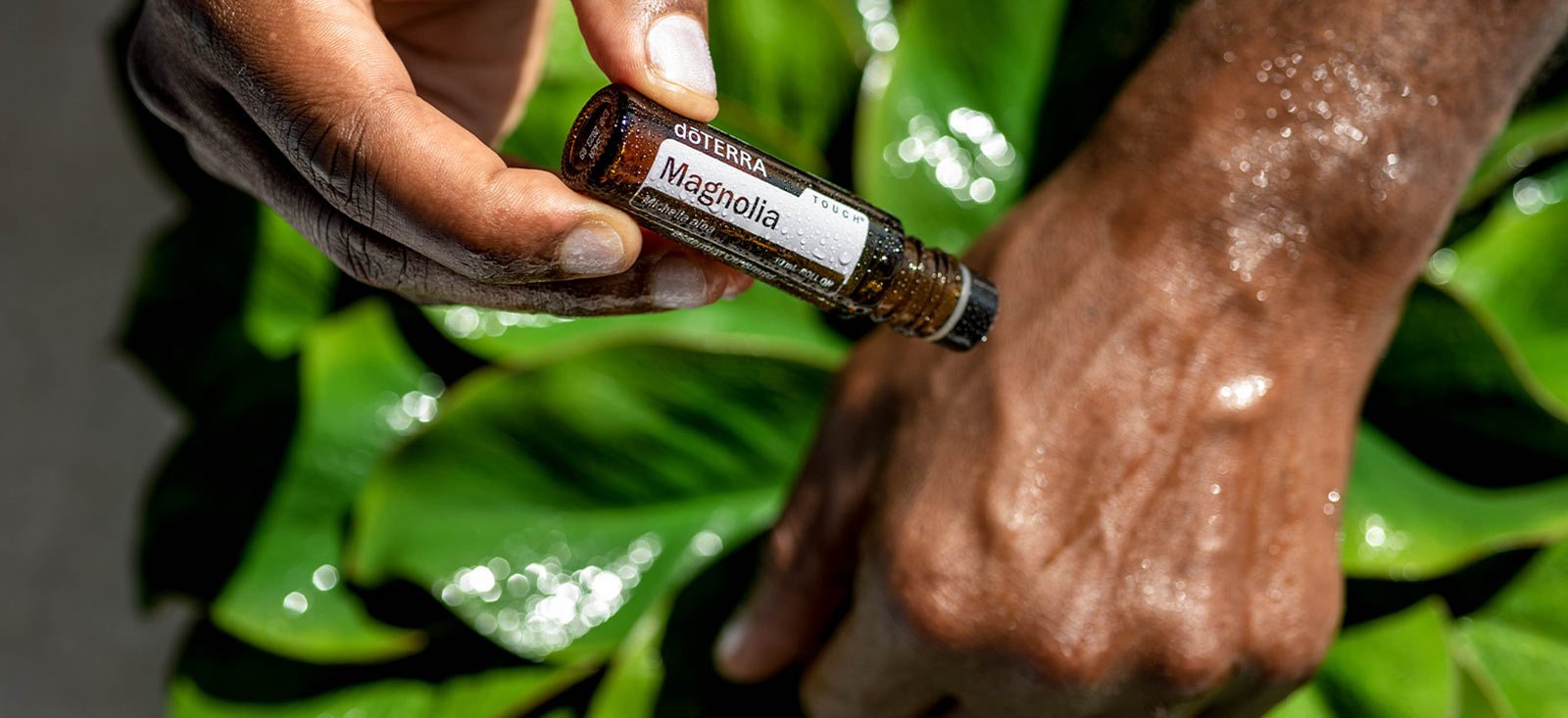 Magnolia Touch Image