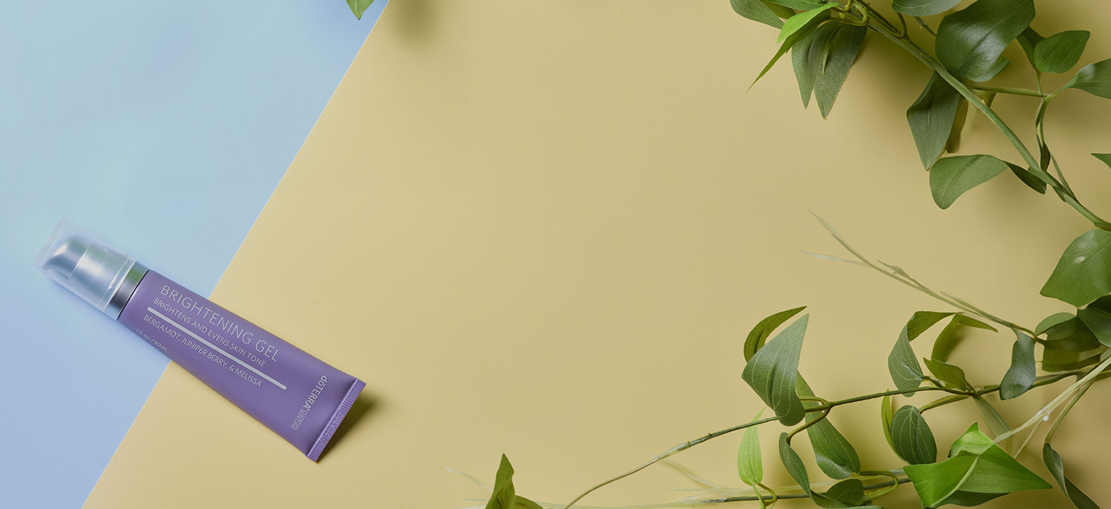 Brightening Gel Image