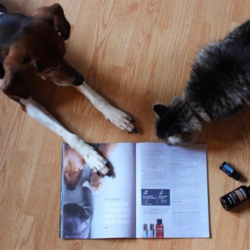 A dog and a cat lying on a wooden floor next to an open magazine about pet safety and two bottles of essential oils.