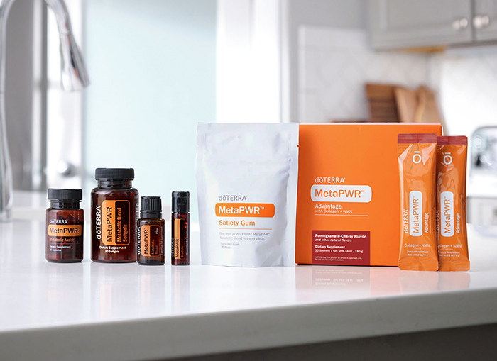 MetaPWR Cherry System Image