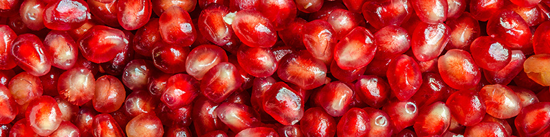 800x200-pomegranate-desktop.jpg