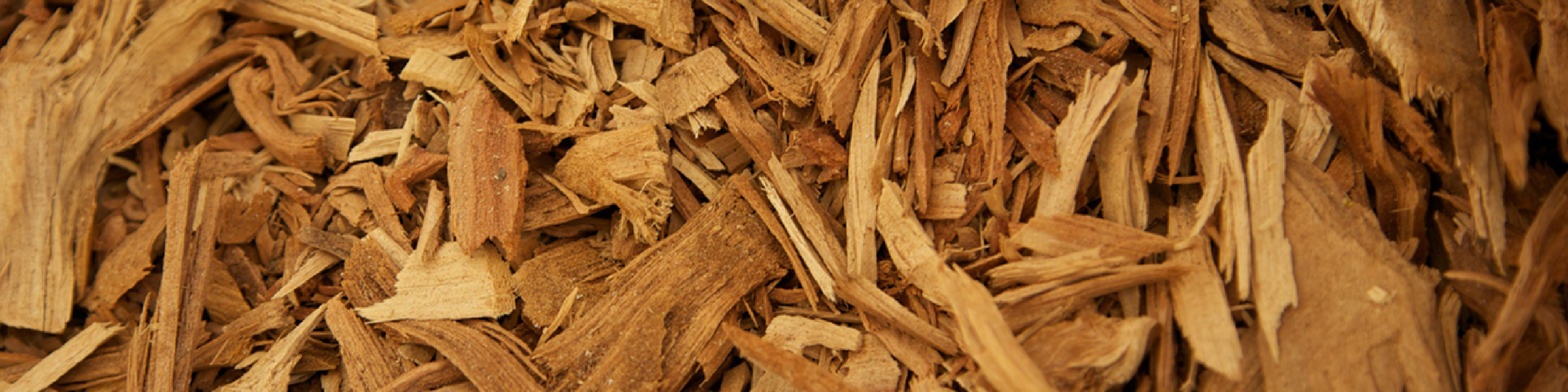 Serenity Stick Product Page images_sandalwood - desktop.jpg