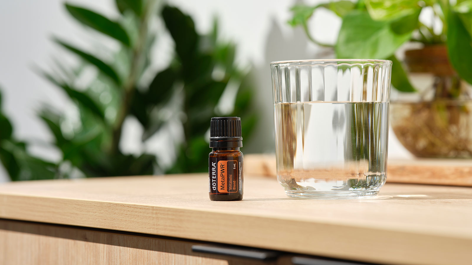 doTERRA MetaPWR essential oil blend sitting on a brown countertop next to a clear glass of water.