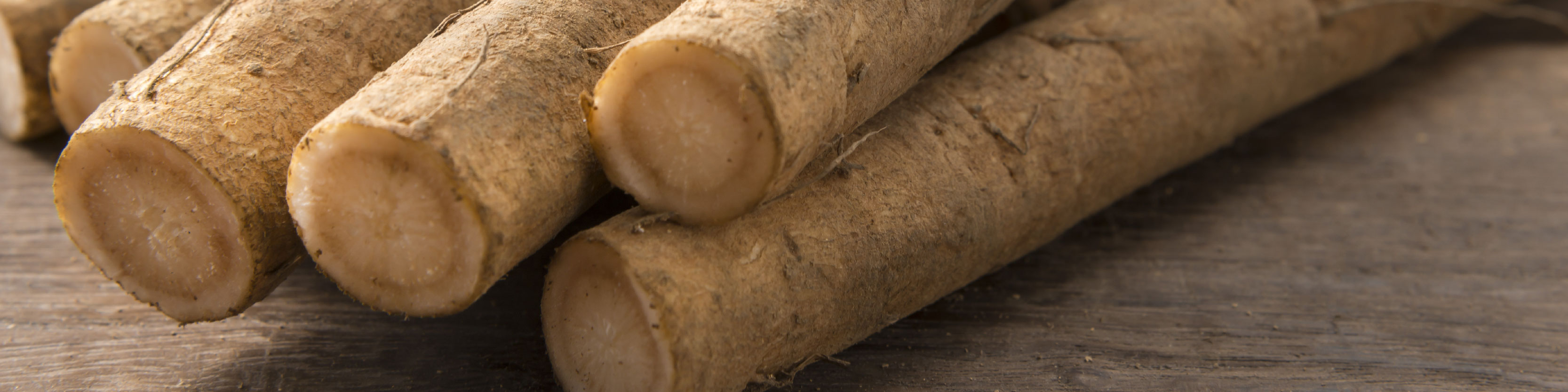 Burdock root - desktop.jpg