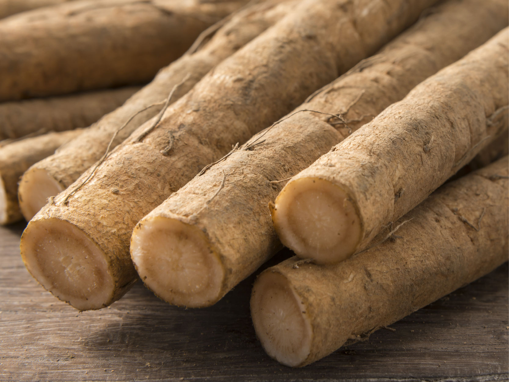 Burdock root - mobile-.jpg