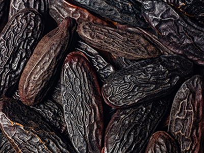 tonka beans image