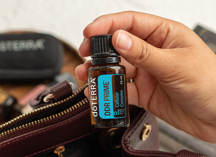 <spring:theme code='text.product.primaryBenefits' text='Primary Benefits'/>