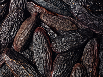 Tonka Bean_Mobile.png