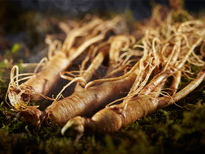 Ginseng Root_Mobile.png