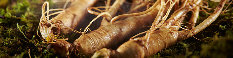 Ginseng Root_Desktop.png