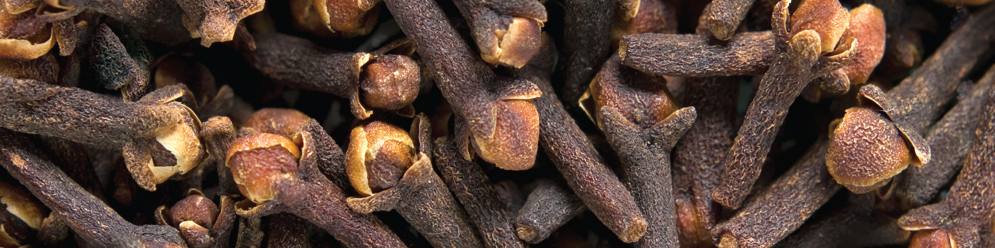 Clove Seed Image