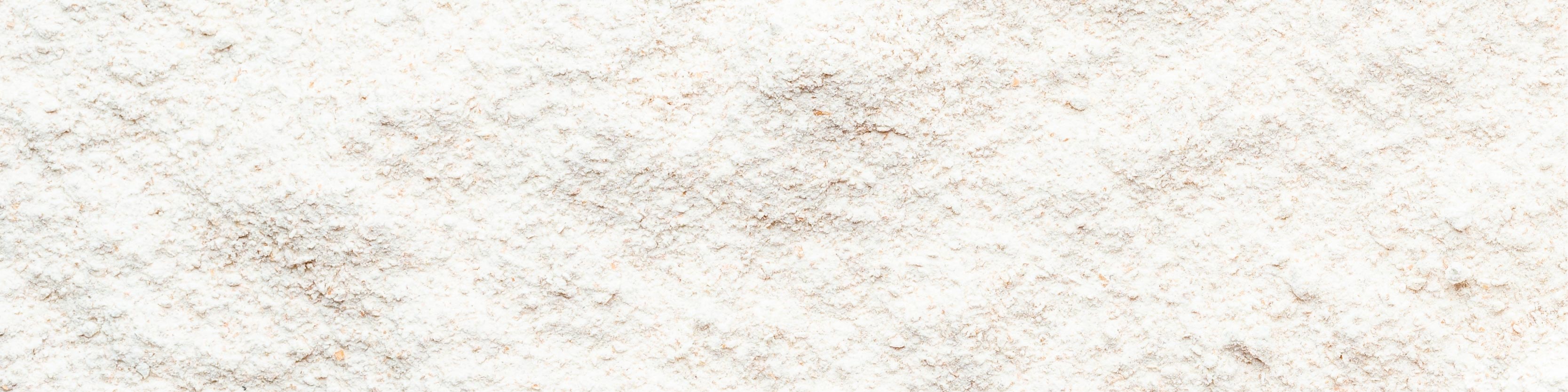 TerraZyme Lactase Image